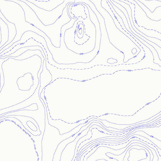 Sun Print Whisper: POND TOPOGRAPHY Fabric (1/2 yd) by Alison Glass
