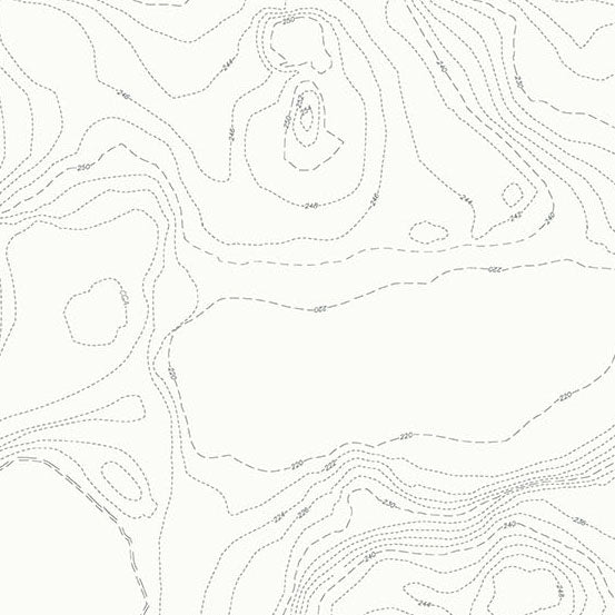 Sun Print Whisper: BOULDER TOPOGRAPHY Fabric (1/2 yd) by Alison Glass