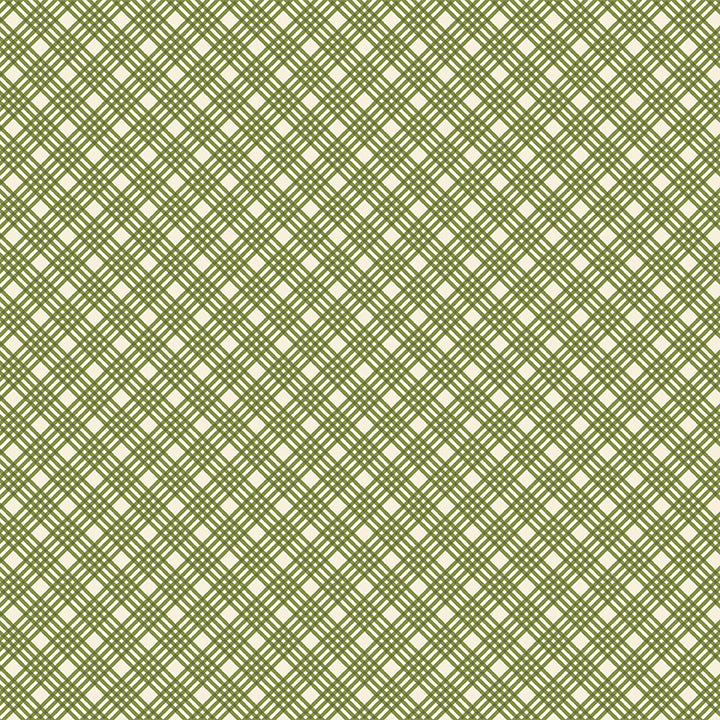 Hello Pumpkin CRISP PLAID GREEN - by Cherry Blossoms Quilting (1/2 yd)