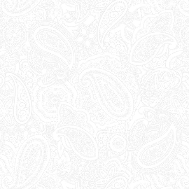 Paisly Jane: WHITE ON WHITE 108-Inch Wide Backing Fabric (1 yard)