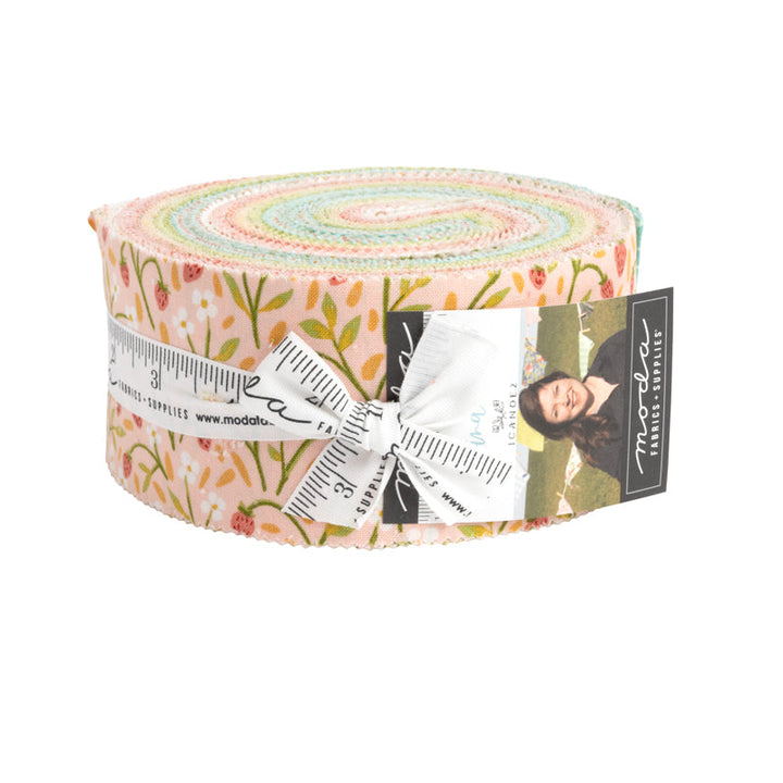 KINDRED 2.5-Inch Jelly Roll Precuts by 1 CANOE 2