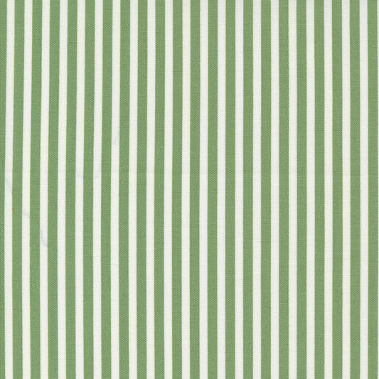 SHORELINE GREEN: 55305 15  - Shoreline Fabric Collection (1/2 yd.)