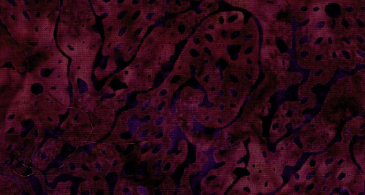 Tonga Batiks - Chateau: BERRY SEEDS Fabric by Timeless Treasures