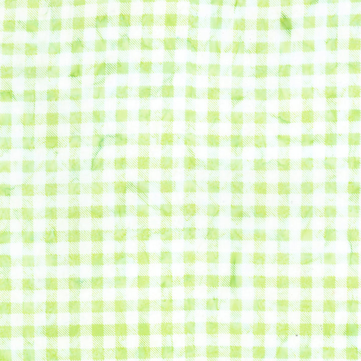 RING TOSS - GREEN Quilt Kit feat. Daisy Dots Batiks