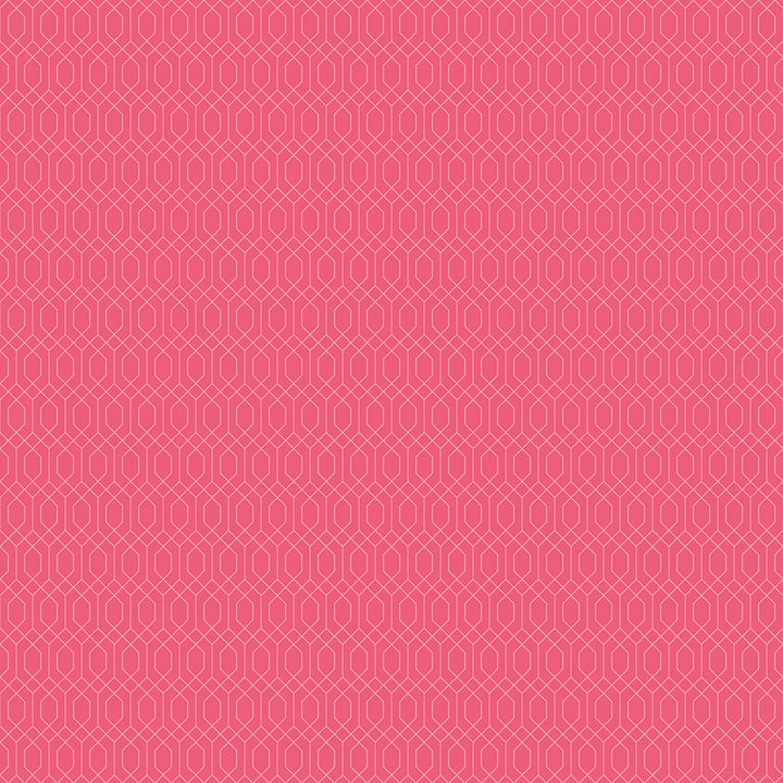 ESSENCE 5-Inch Stacker Precuts by Fran Gulick