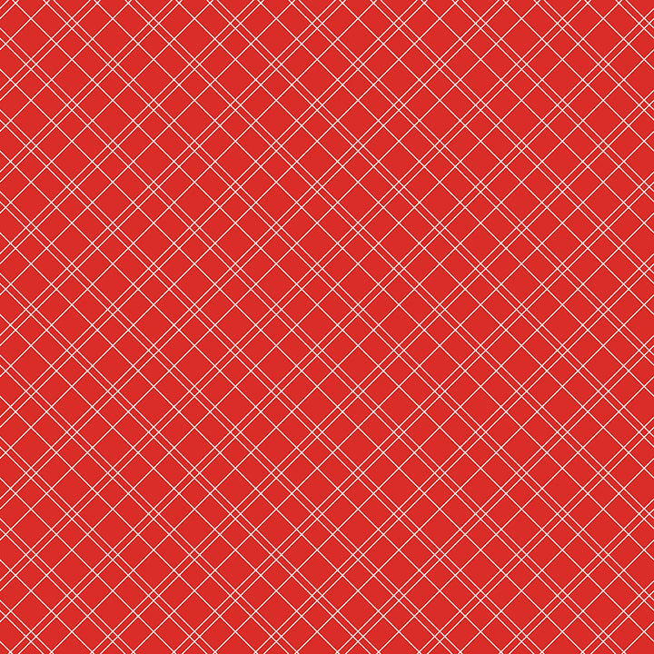 KITCHEN CRISP Quilt Kit by American Jane