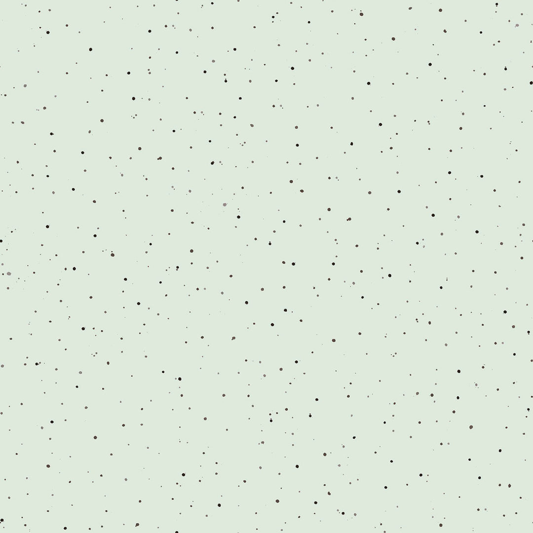 Together is Better: SPECKLES Pale Green fabric by Hannah Dale (1/2 yd.)
