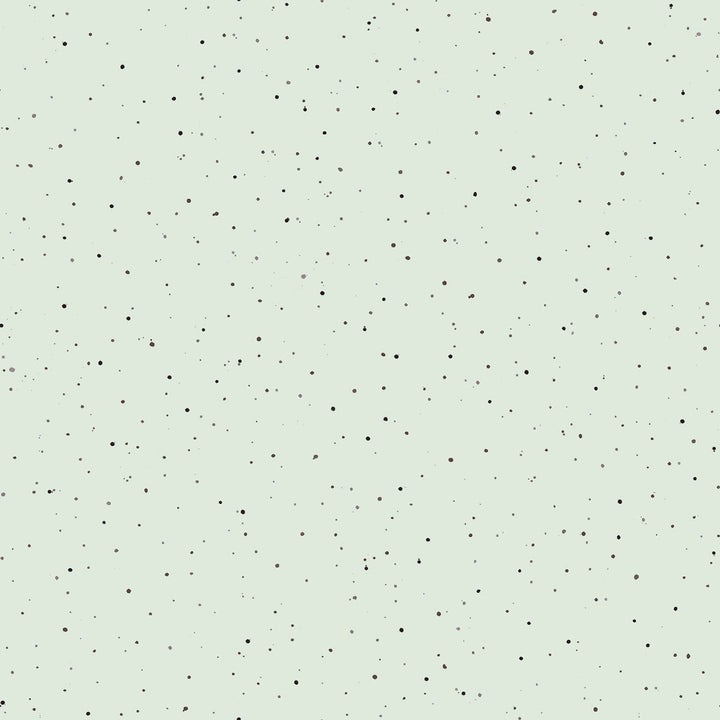 Together is Better: SPECKLES Pale Green fabric by Hannah Dale (1/2 yd.)