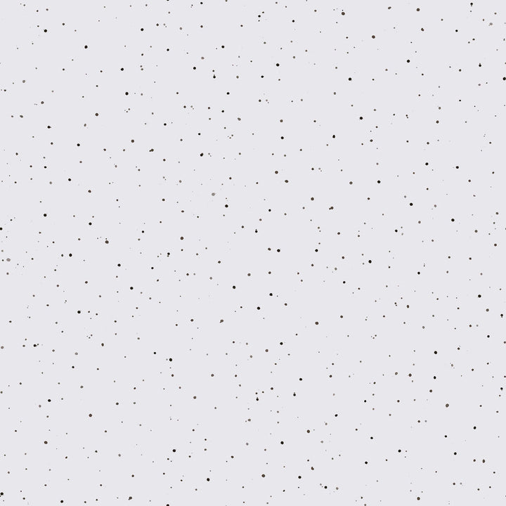 Together is Better: SPECKLES Soft Gray fabric by Hannah Dale (1/2 yd.)