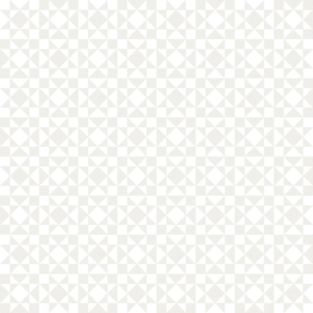 Colorblocks Party: TWINKLE WARM GRAY 108-Inch Backing Fabric (1 yd)