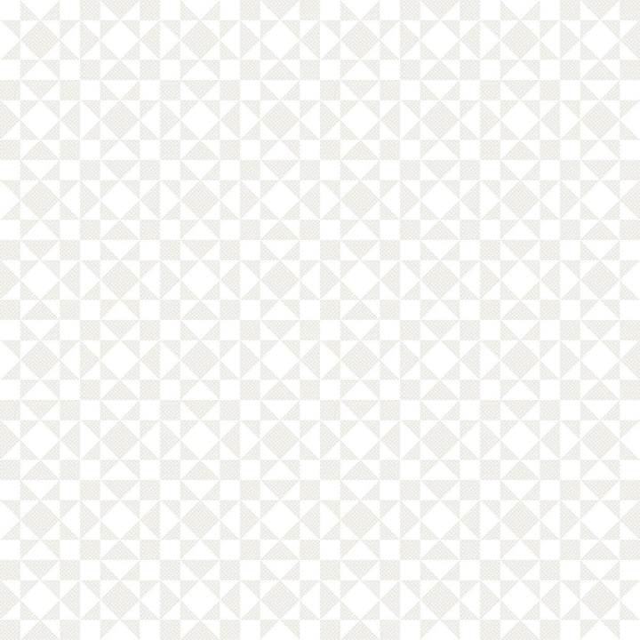 Colorblocks Party: TWINKLE WARM GRAY 108-Inch Backing Fabric (1 yd)