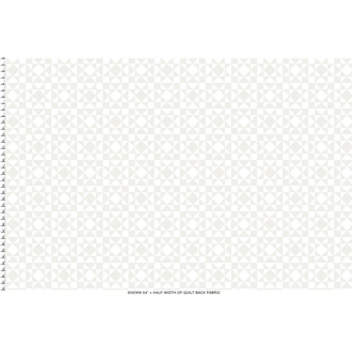 Colorblocks Party: TWINKLE WARM GRAY 108-Inch Backing Fabric (1 yd)