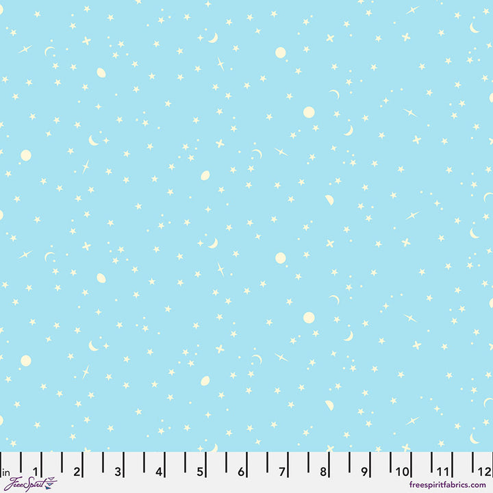 FORGET-ME-NOTS Quilt Kit by Tula Pink