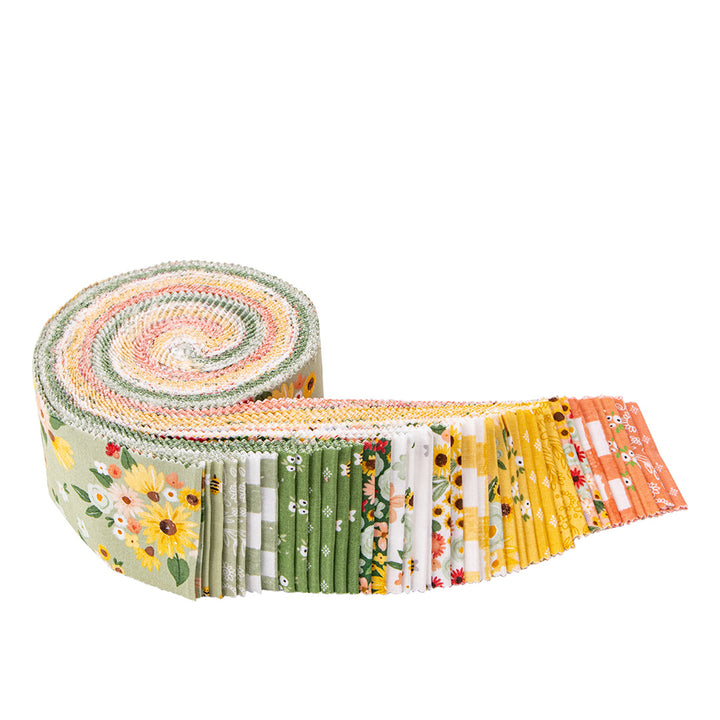 Bandes MAISON 2,5" Rolie Polie par ECHO PARK PAPER CO.